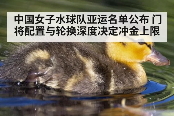 中国女子水球队亚运名单公布 门将配置与轮换深度决定冲金上限